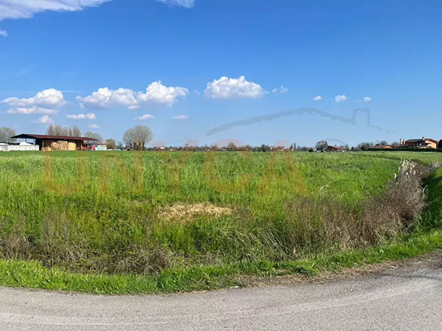 Immagine 2 di Terreno in vendita  in Via Boccalara a Cervarese Santa Croce