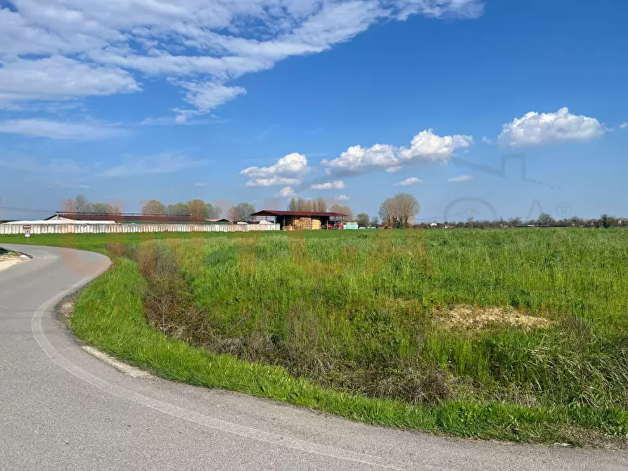 Immagine 3 di Terreno in vendita  in Via Boccalara a Cervarese Santa Croce