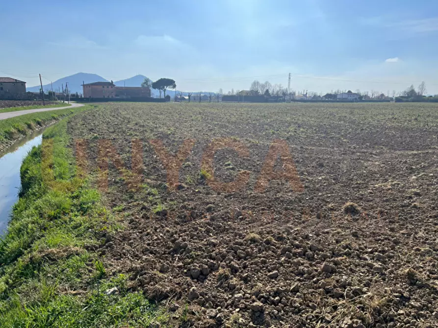 Immagine 4 di Terreno in vendita  in Via Boccalara a Cervarese Santa Croce