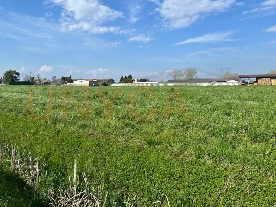 Immagine 5 di Terreno in vendita  in Via Boccalara a Cervarese Santa Croce