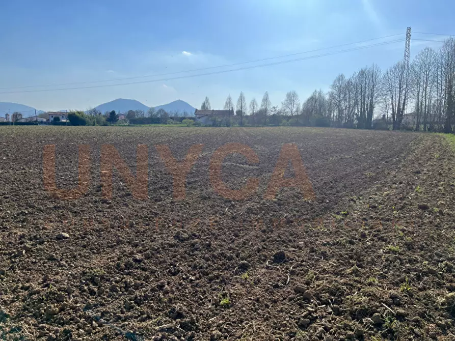 Immagine 6 di Terreno in vendita  in Via Boccalara a Cervarese Santa Croce