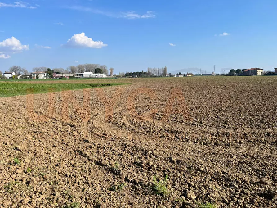 Immagine 7 di Terreno in vendita  in Via Boccalara a Cervarese Santa Croce