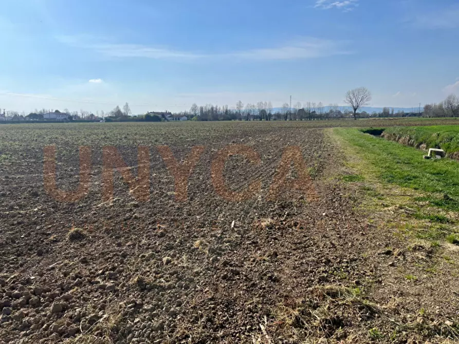 Immagine 10 di Terreno in vendita  in Via Boccalara a Cervarese Santa Croce