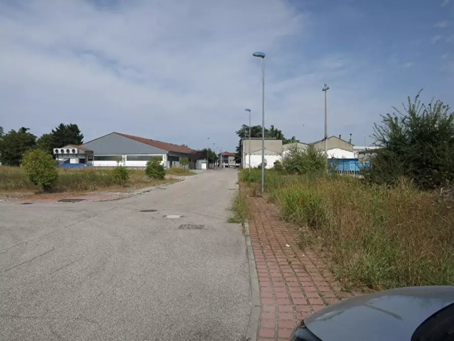 Immagine 3 di Terreno in vendita  in Via Calcara a Cerea