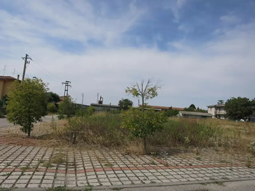 Immagine 6 di Terreno in vendita  in Via Calcara a Cerea