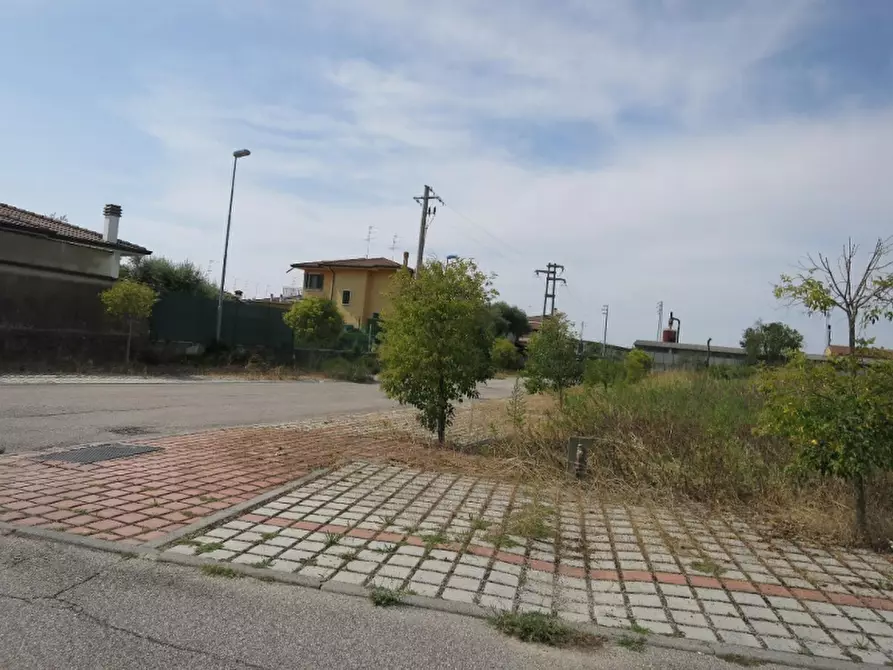 Immagine 7 di Terreno in vendita  in Via Calcara a Cerea