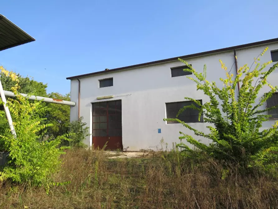Immagine 8 di Capannone industriale in vendita  in Via Cadabese 18 a Cerea