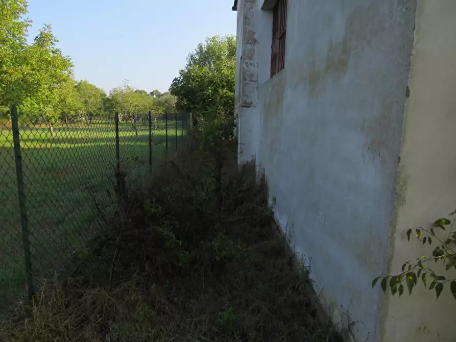 Immagine 10 di Capannone industriale in vendita  in Via Cadabese 18 a Cerea