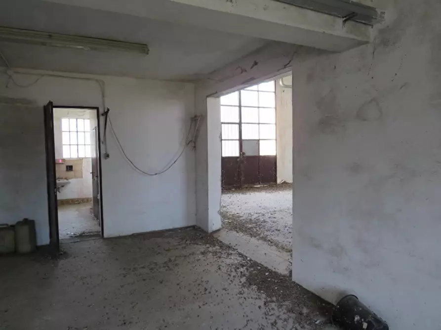 Immagine 40 di Capannone industriale in vendita  in Via Cadabese 18 a Cerea