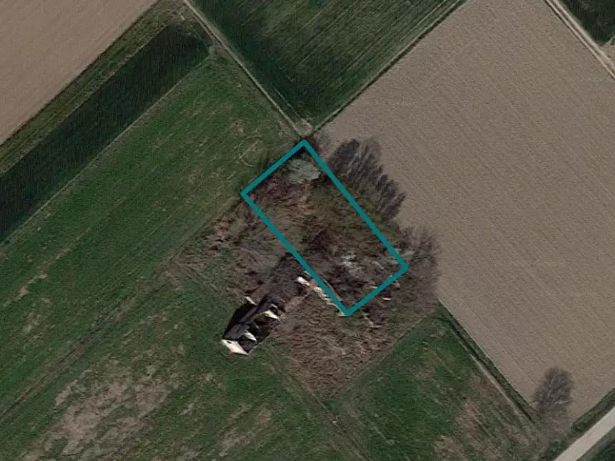 Immagine 1 di Terreno in vendita  in Via Valle Menà a Castagnaro