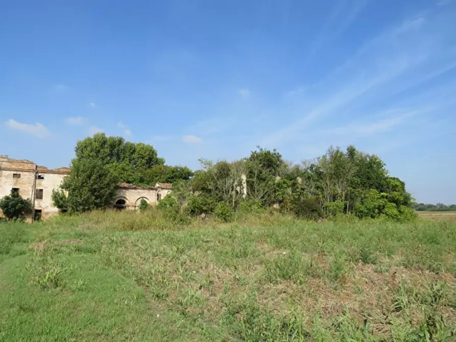 Immagine 3 di Terreno in vendita  in Via Valle Menà a Castagnaro