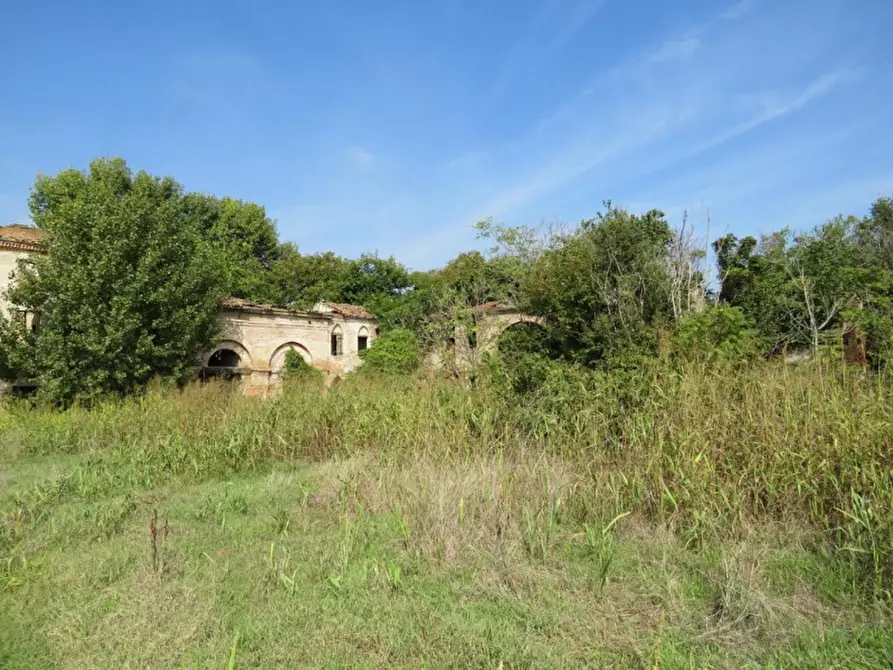 Immagine 4 di Terreno in vendita  in Via Valle Menà a Castagnaro