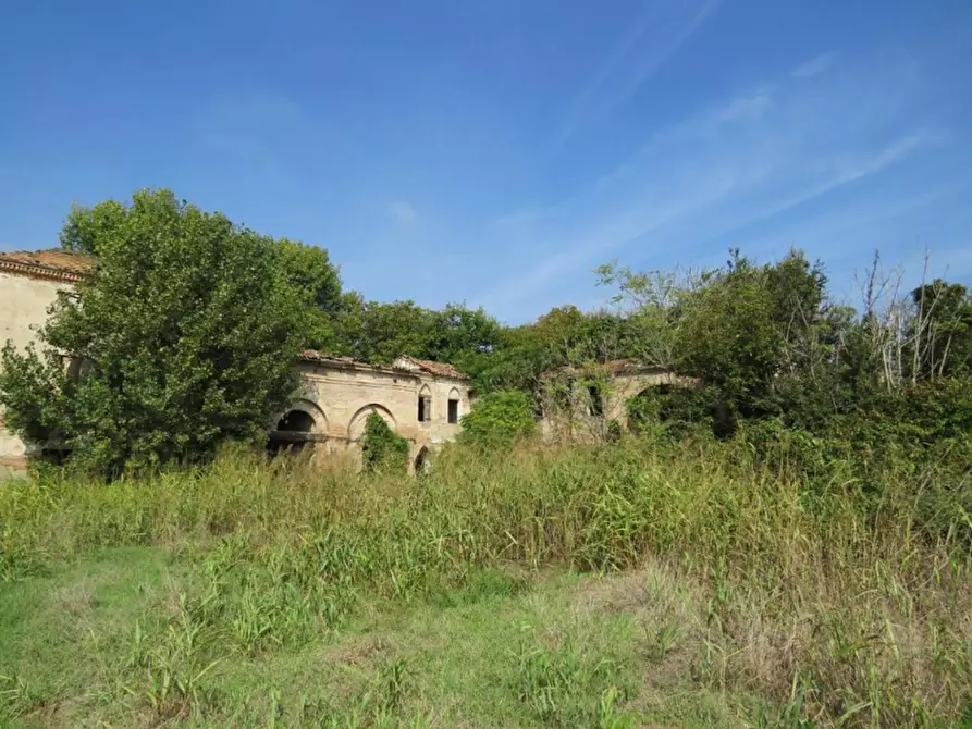 Immagine 5 di Terreno in vendita  in Via Valle Menà a Castagnaro