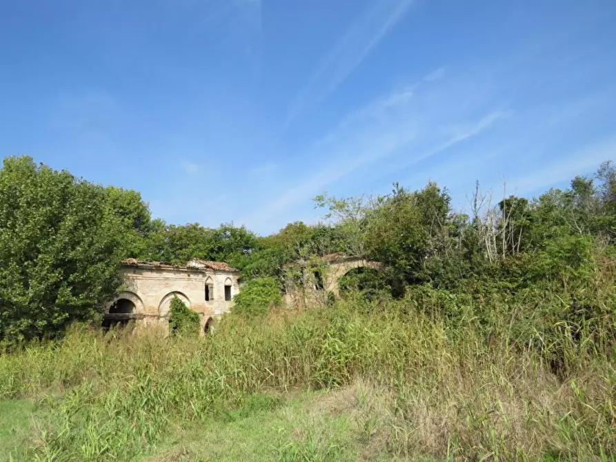 Immagine 6 di Terreno in vendita  in Via Valle Menà a Castagnaro