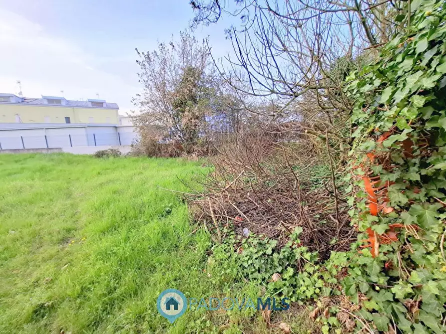 Immagine 8 di Terreno in vendita  in Via degli Scavi a Montegrotto Terme