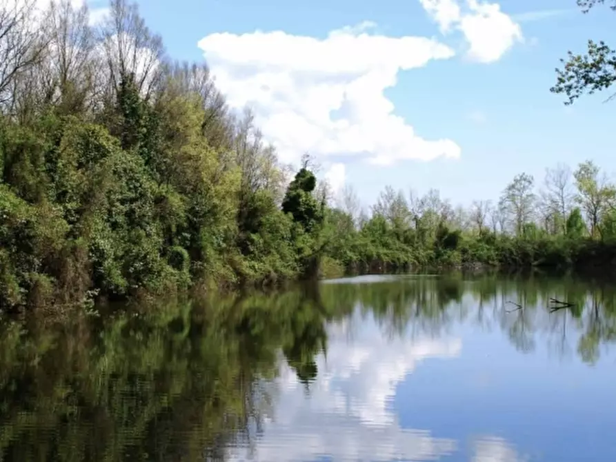 Immagine 9 di Villa in vendita  in Carpenedo a Venezia
