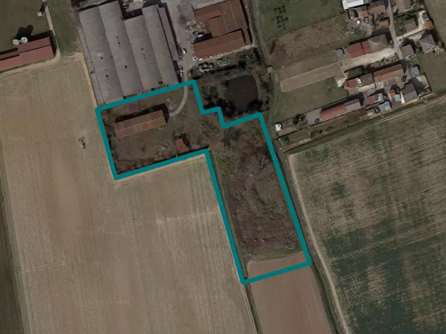 Immagine 2 di Capannone industriale in vendita  in Via Dossi a Sanguinetto