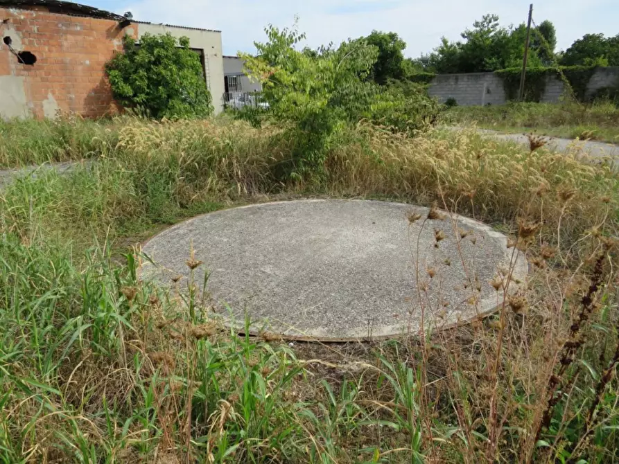 Immagine 8 di Capannone industriale in vendita  in Via Dossi a Sanguinetto