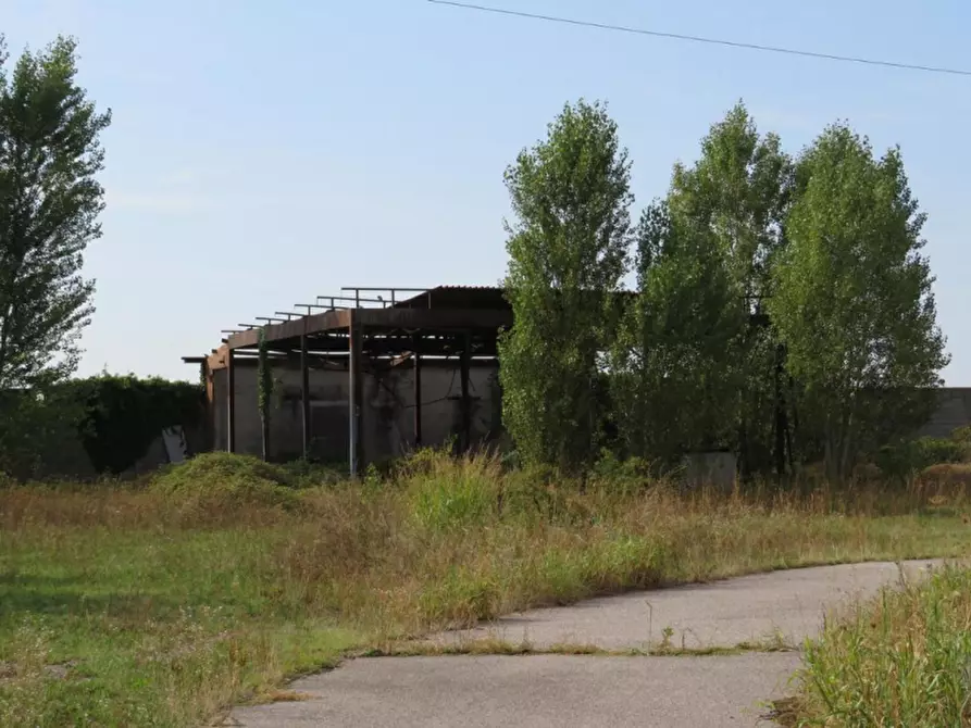 Immagine 9 di Capannone industriale in vendita  in Via Dossi a Sanguinetto