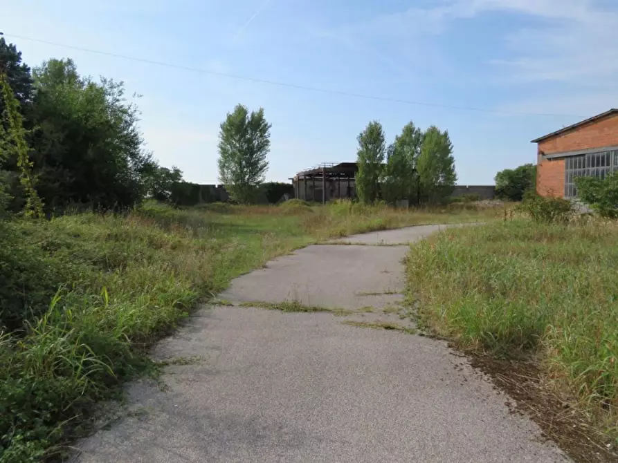 Immagine 10 di Capannone industriale in vendita  in Via Dossi a Sanguinetto