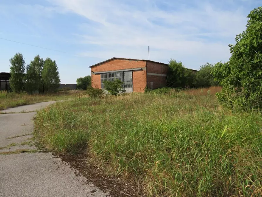 Immagine 11 di Capannone industriale in vendita  in Via Dossi a Sanguinetto