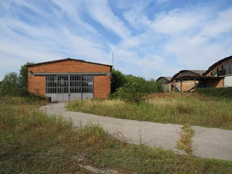 Immagine 12 di Capannone industriale in vendita  in Via Dossi a Sanguinetto