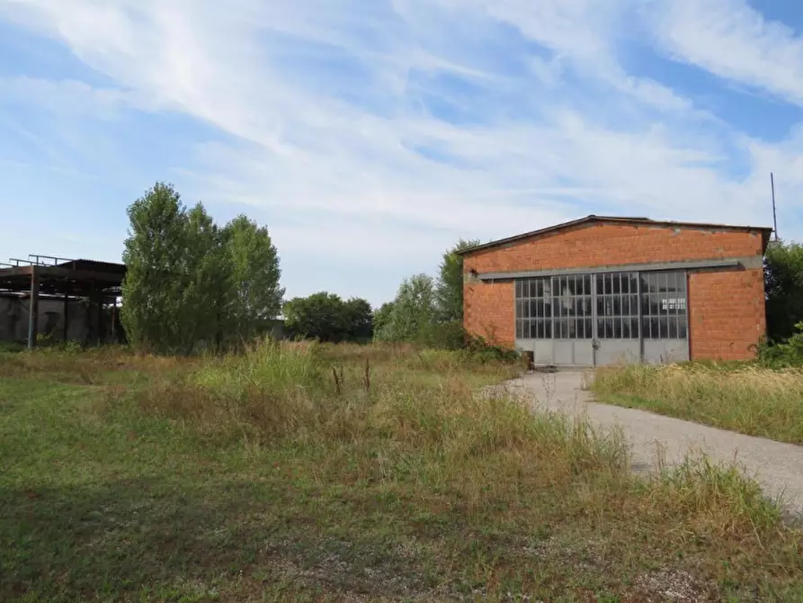 Immagine 13 di Capannone industriale in vendita  in Via Dossi a Sanguinetto