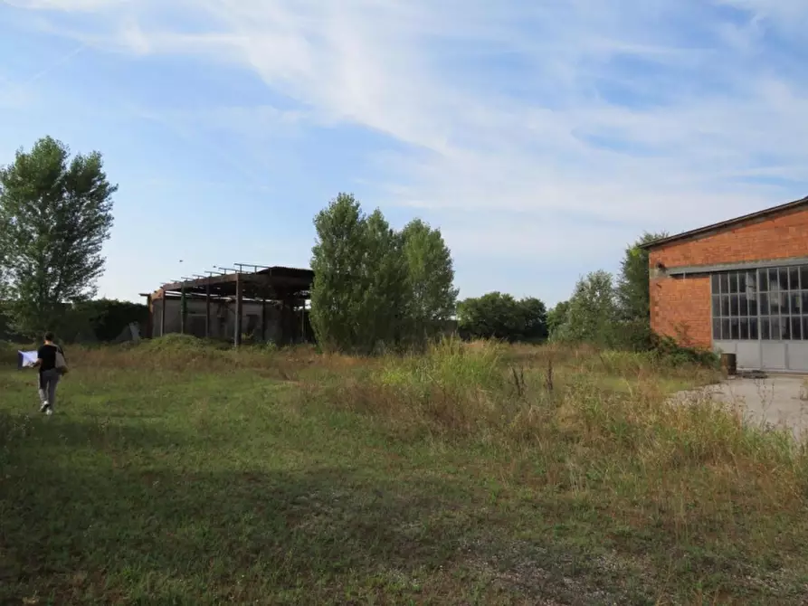 Immagine 14 di Capannone industriale in vendita  in Via Dossi a Sanguinetto