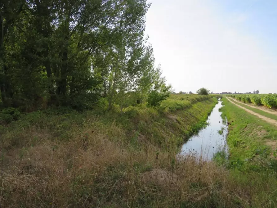 Immagine 15 di Capannone industriale in vendita  in Via Dossi a Sanguinetto