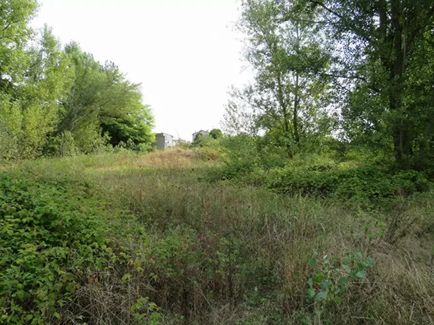 Immagine 16 di Capannone industriale in vendita  in Via Dossi a Sanguinetto