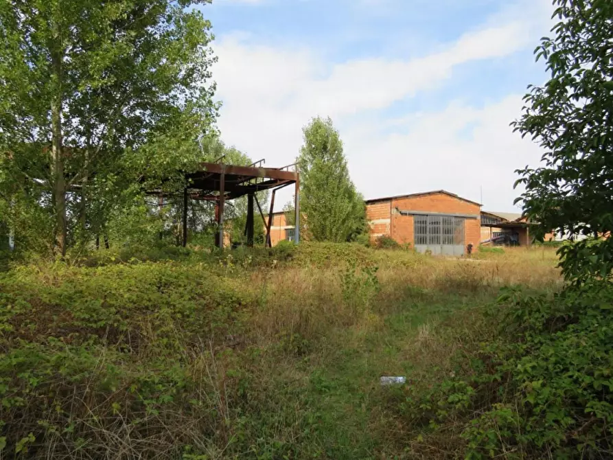 Immagine 17 di Capannone industriale in vendita  in Via Dossi a Sanguinetto