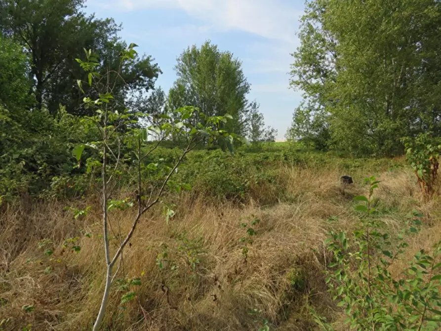 Immagine 18 di Capannone industriale in vendita  in Via Dossi a Sanguinetto