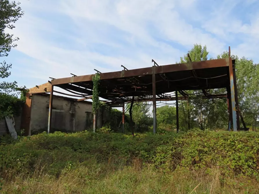 Immagine 19 di Capannone industriale in vendita  in Via Dossi a Sanguinetto