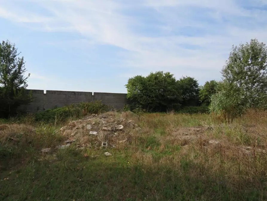 Immagine 22 di Capannone industriale in vendita  in Via Dossi a Sanguinetto