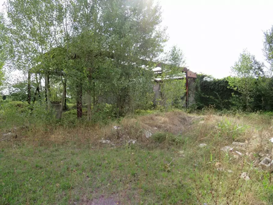 Immagine 23 di Capannone industriale in vendita  in Via Dossi a Sanguinetto