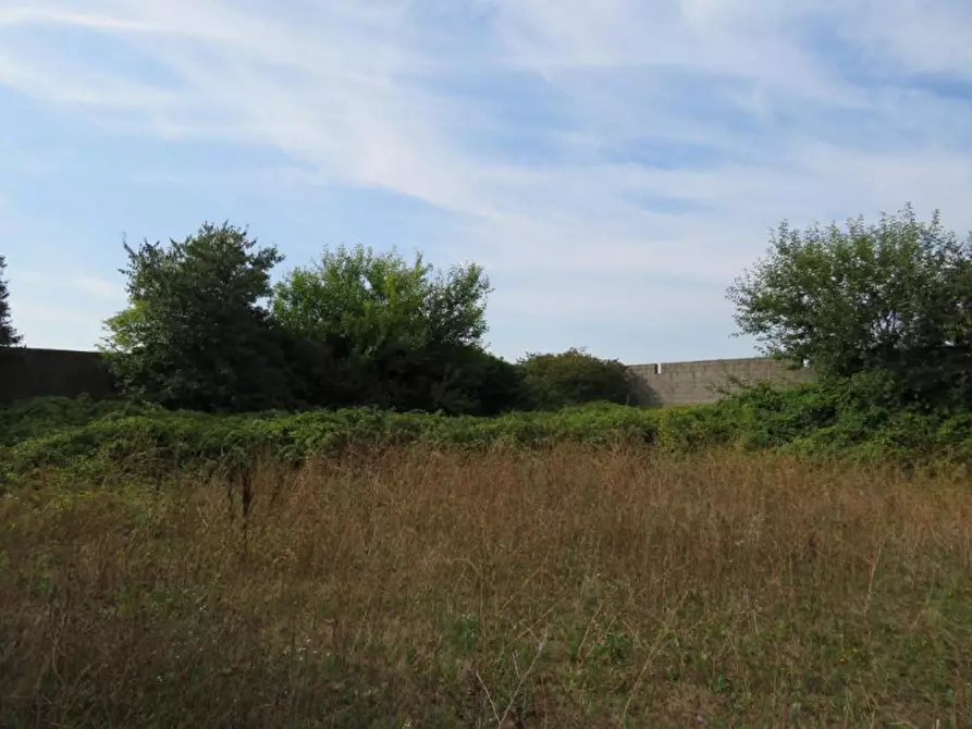 Immagine 25 di Capannone industriale in vendita  in Via Dossi a Sanguinetto