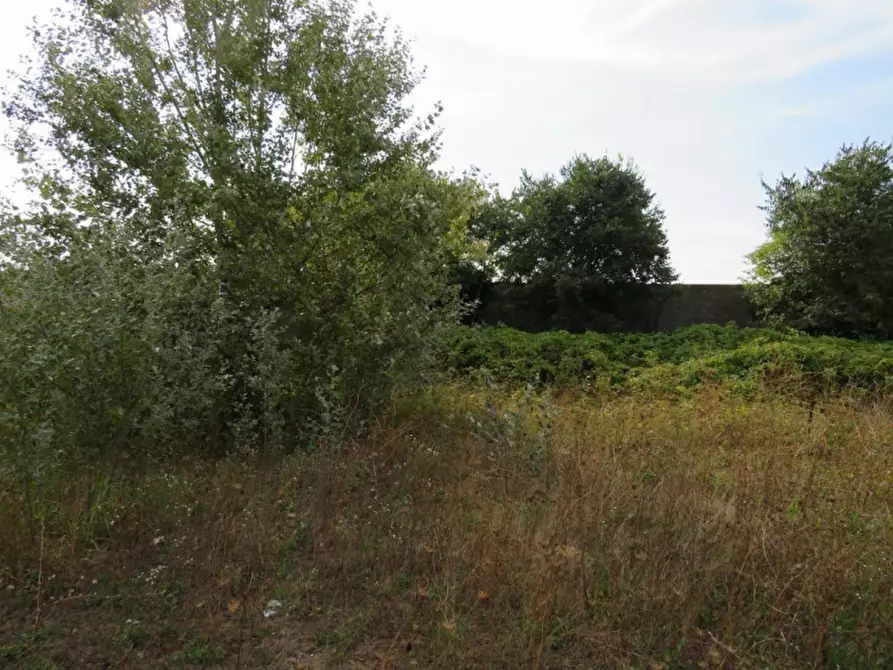 Immagine 26 di Capannone industriale in vendita  in Via Dossi a Sanguinetto