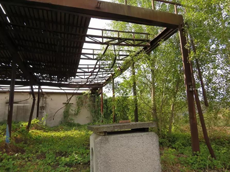 Immagine 32 di Capannone industriale in vendita  in Via Dossi a Sanguinetto