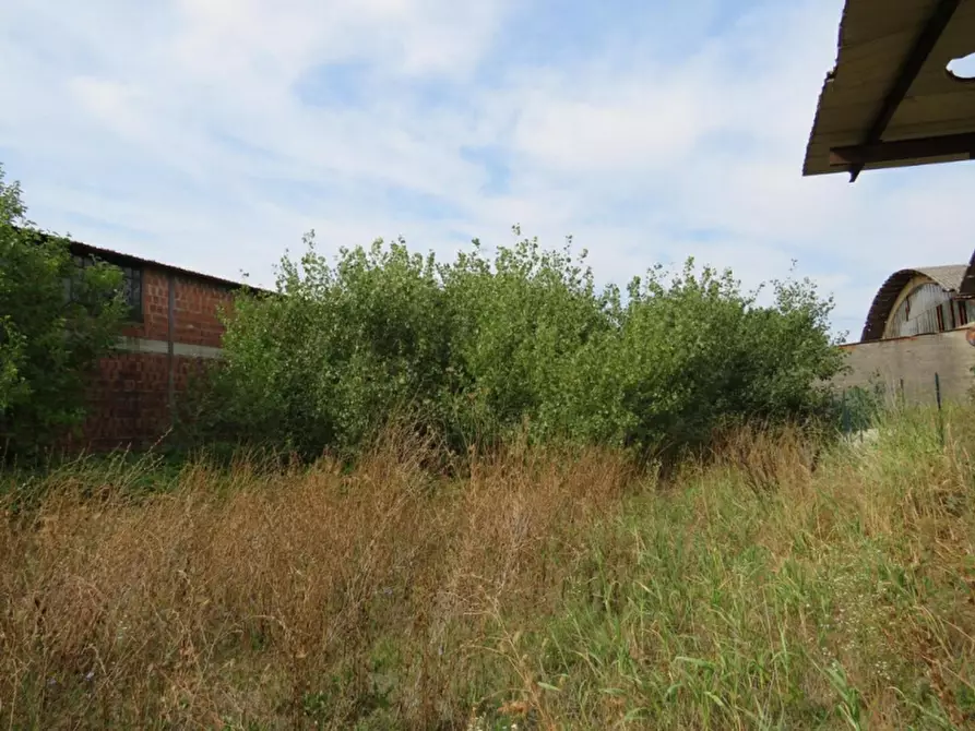 Immagine 45 di Capannone industriale in vendita  in Via Dossi a Sanguinetto