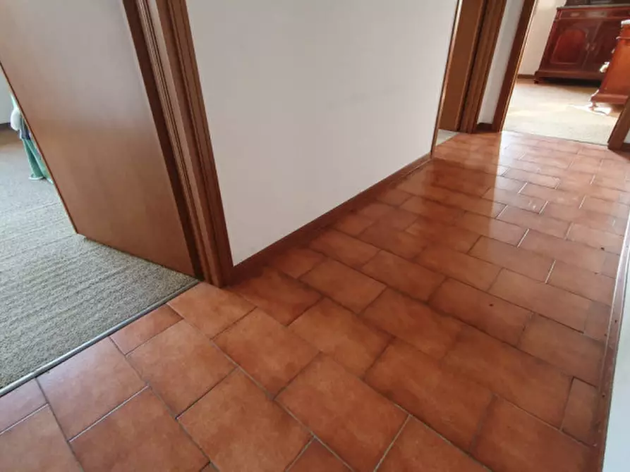Immagine 19 di Villa in vendita  in VIA BARBIERI a Novi Di Modena