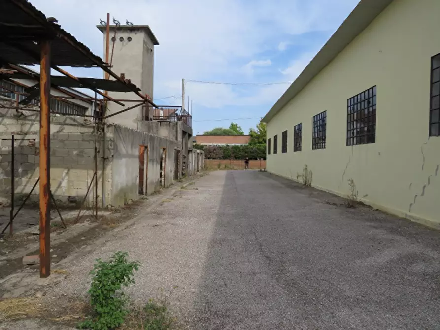 Immagine 16 di Laboratorio in vendita  in Via San Giuseppe 2 a Sanguinetto