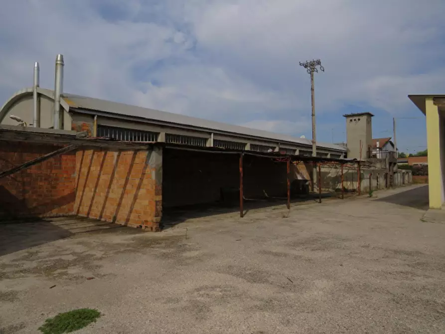 Immagine 17 di Laboratorio in vendita  in Via San Giuseppe 2 a Sanguinetto