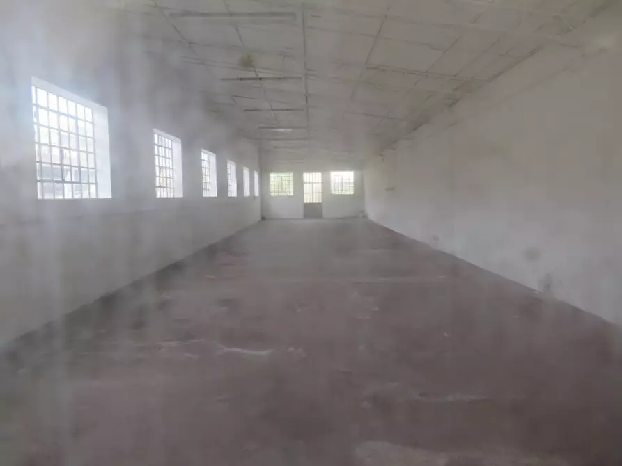 Immagine 29 di Laboratorio in vendita  in Via San Giuseppe 2 a Sanguinetto