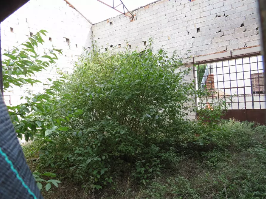 Immagine 31 di Laboratorio in vendita  in Via San Giuseppe 2 a Sanguinetto