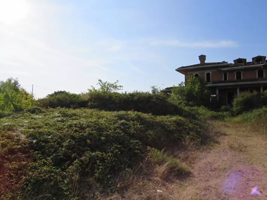 Immagine 3 di Villa in vendita  in Via Ca De Micheli 19 a Sanguinetto