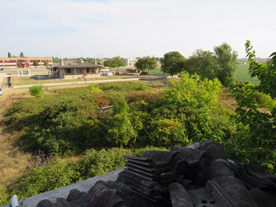 Immagine 33 di Villa in vendita  in Via Ca De Micheli 19 a Sanguinetto