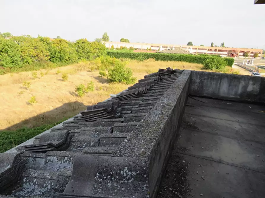 Immagine 37 di Villa in vendita  in Via Ca De Micheli 19 a Sanguinetto