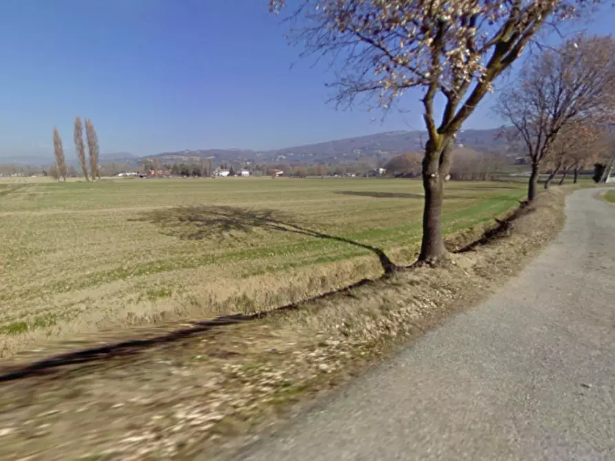 Immagine 4 di Terreno in vendita  in frazione Sterpeto, N. snc a Assisi
