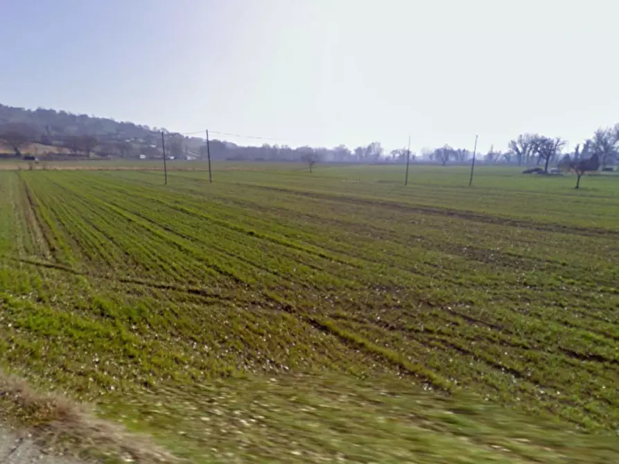 Immagine 3 di Terreno in vendita  in frazione Sterpeto, N. snc a Assisi