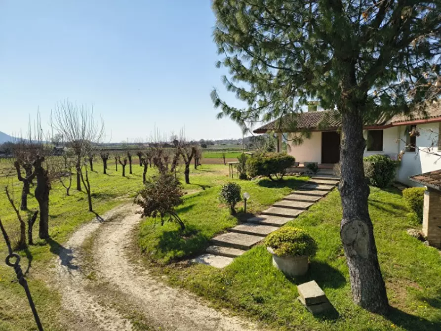 Immagine 4 di Casa bifamiliare in vendita  in carbonara a Rovolon